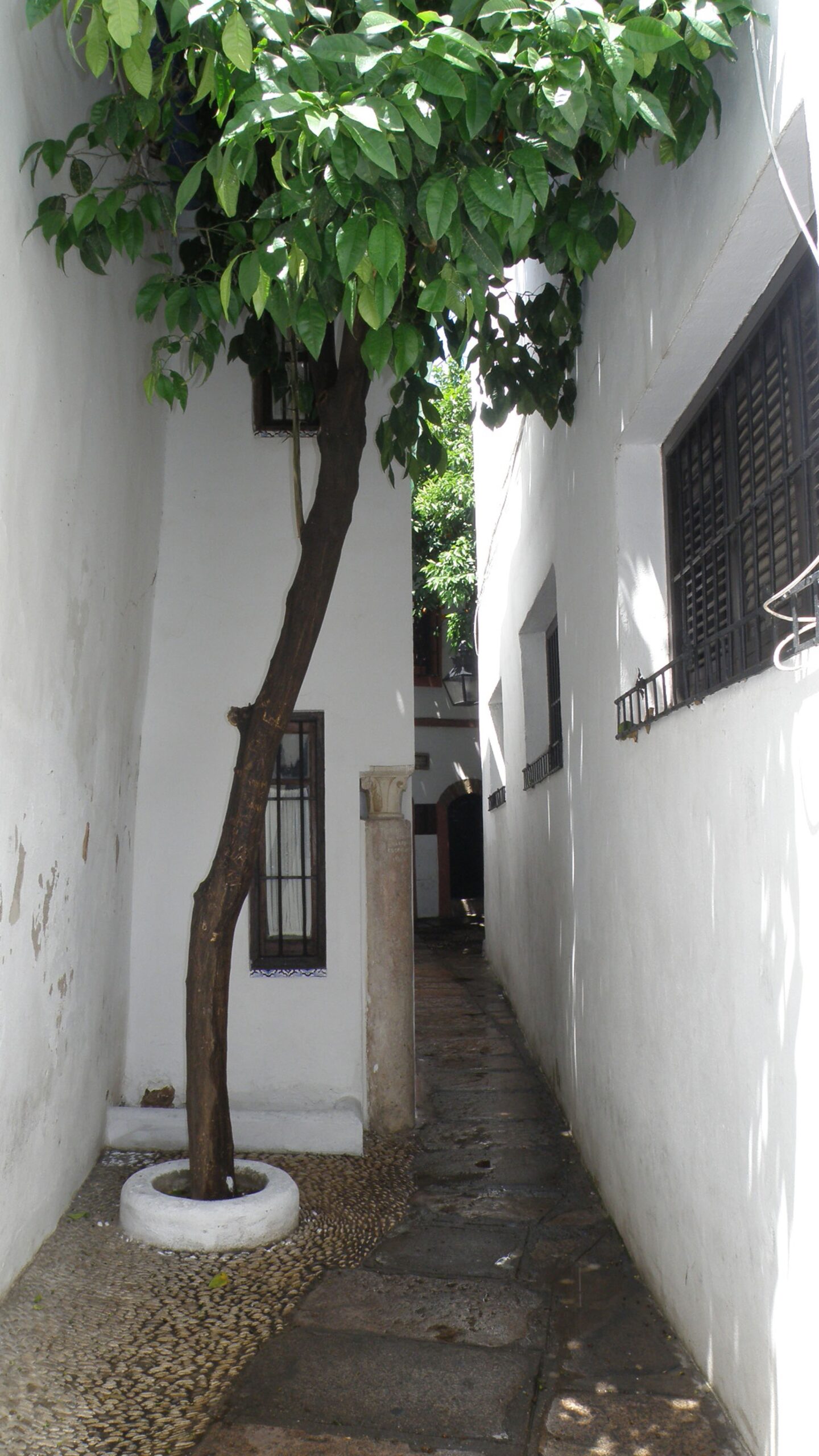 El callejón más estrecho de Córdoba y su historia